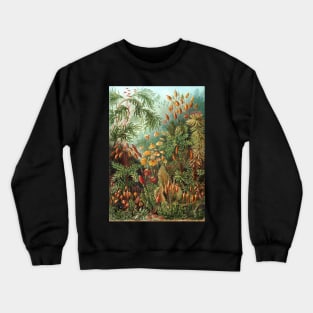 Tropical Moss Muscinae by Ernst Haeckel Crewneck Sweatshirt